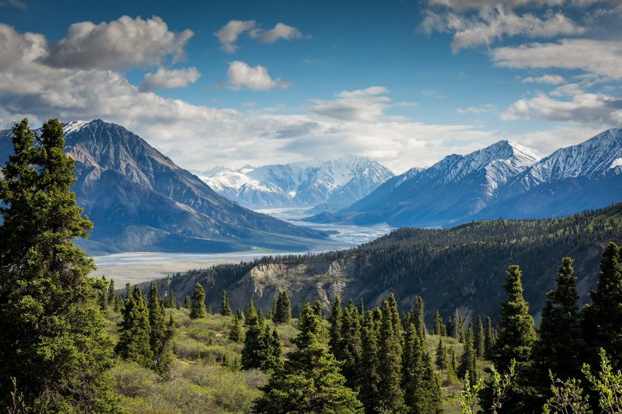 Mountain landscape filled with fresh green scenery